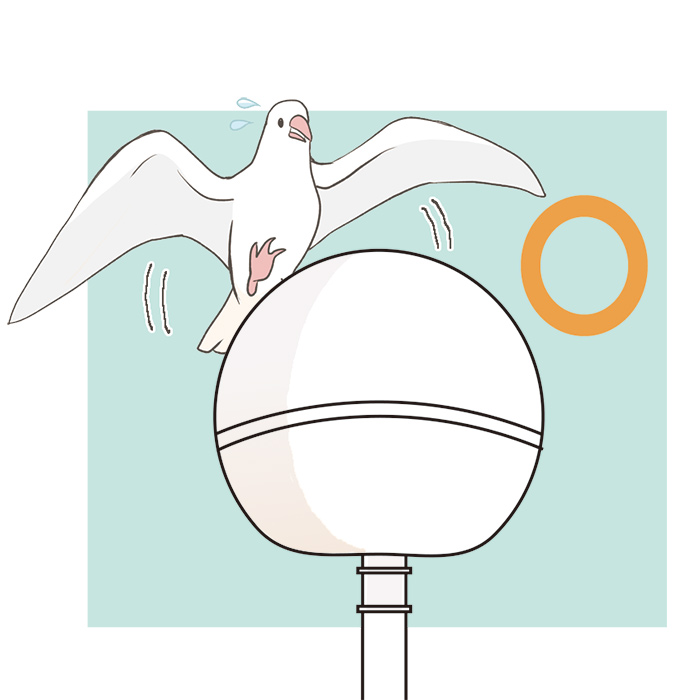 ふん害を受けにくい形です
